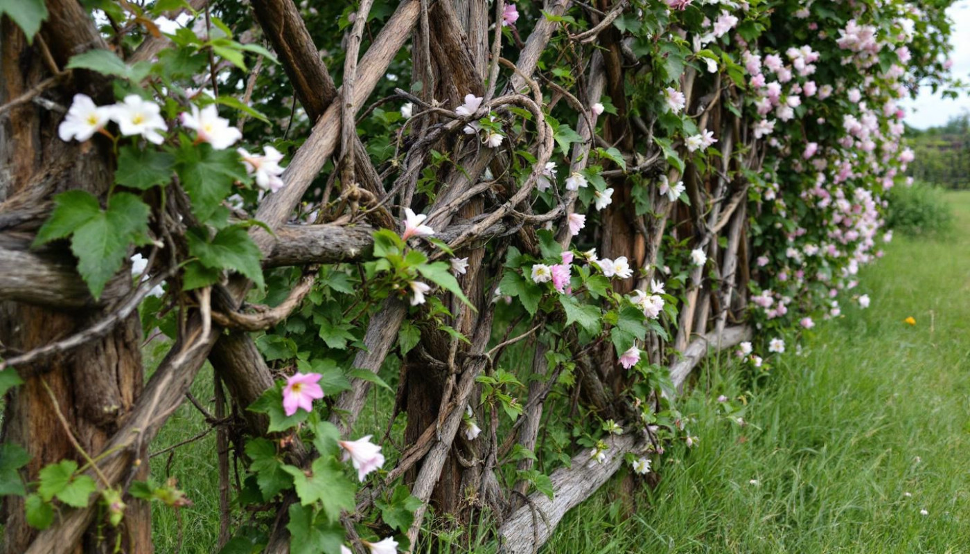 Méthodes alternatives à la clôture traditionnelle pour les terrains agricoles